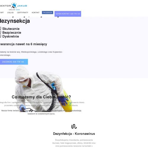 Ostrów Wielkopolski - oczyszczanie pomieszczeń z owadów