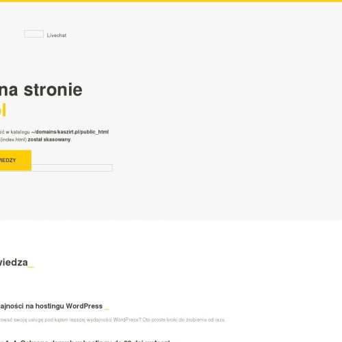 Koszulki z własnym nadrukiem na całej powierzchni