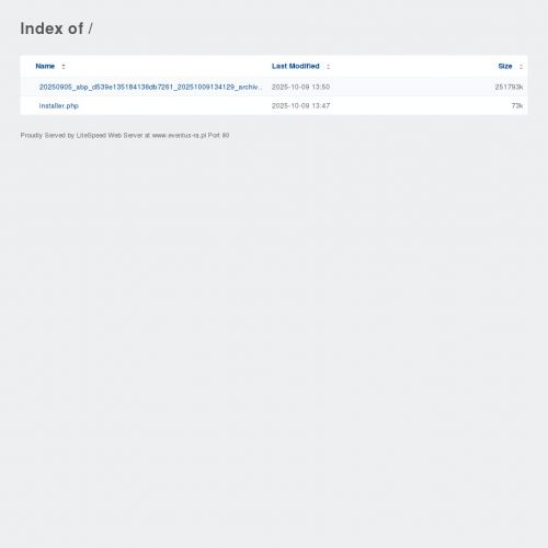 Szczecin - naprawa kominów